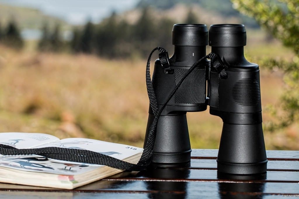 Compact Binoculars
