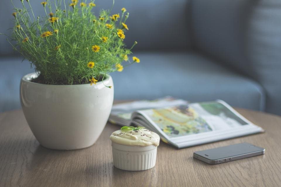 Sol Ceramic Planter